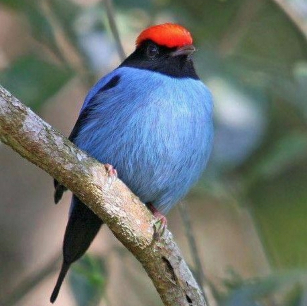 Meet your Posher, Lessons